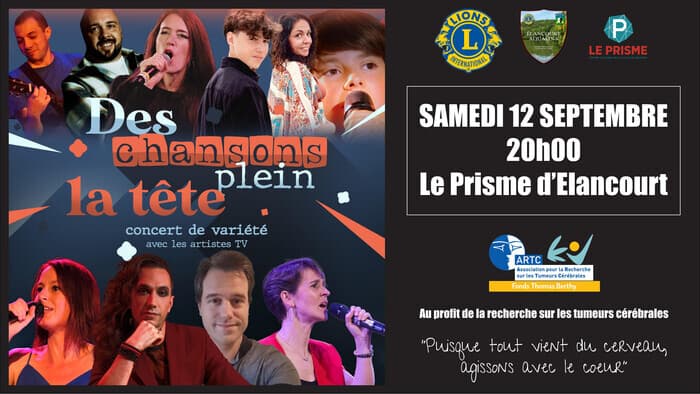 Affiche, Des Chansons Plein la Tete