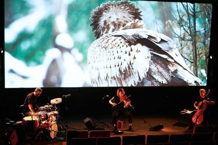 Affiche, Ciné-Concert : Dans les bois