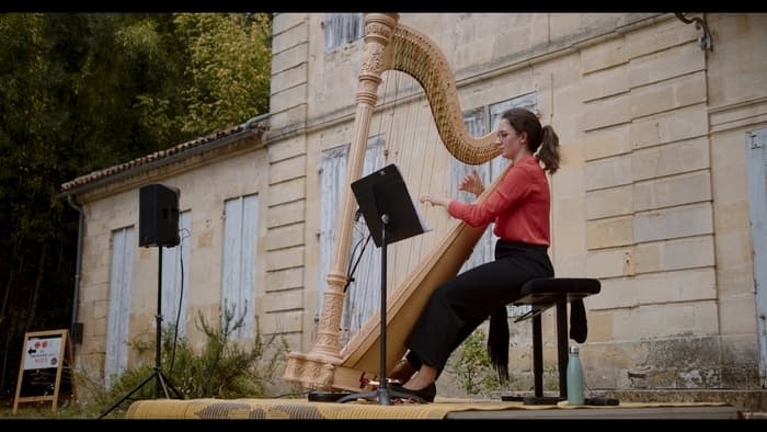 Affiche, Pique-nique musical - PESMD Bordeaux