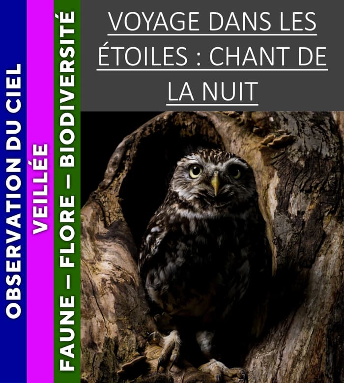Affiche, VERCORS - Voyage dans les étoiles : chant de la nuit