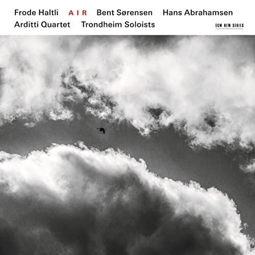 Frode Haltli, Air