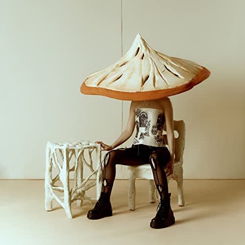 Pomme, Consolation [Vinyl LP]