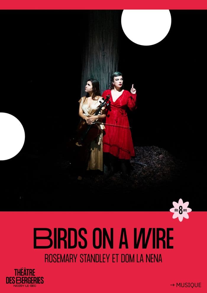 Affiche, Birds on a wire