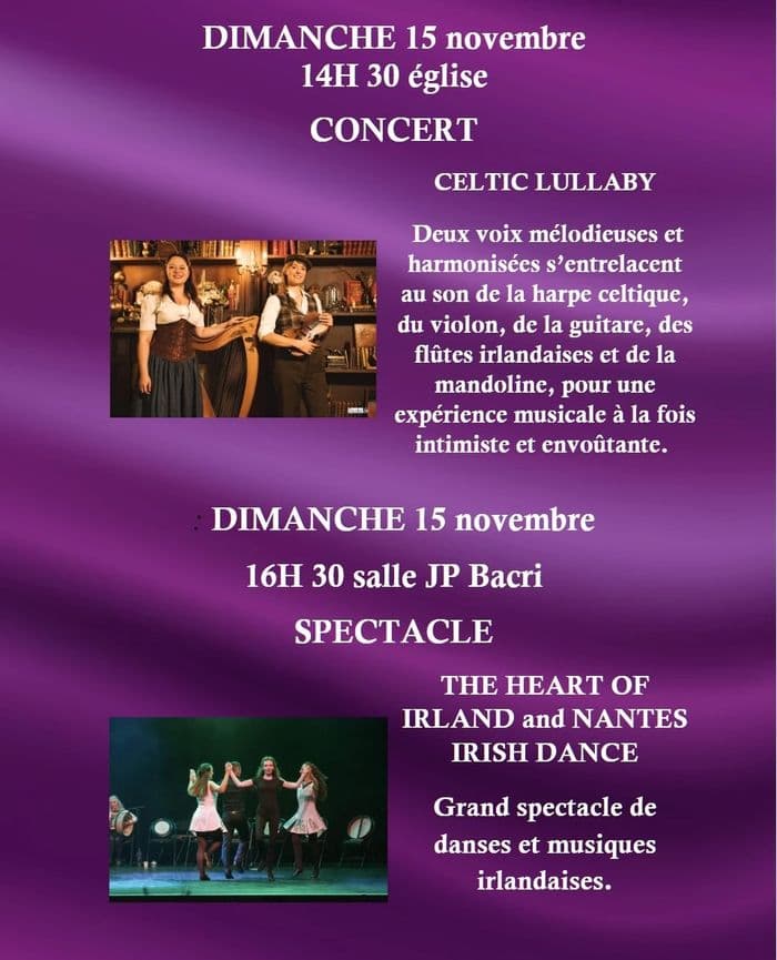 Affiche, 3eme jour festival Celtes en ouche