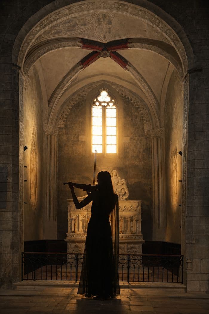 Affiche, Le patrimoine sublimé par la musique : concert de violon en la Collégiale Saint-Salvi