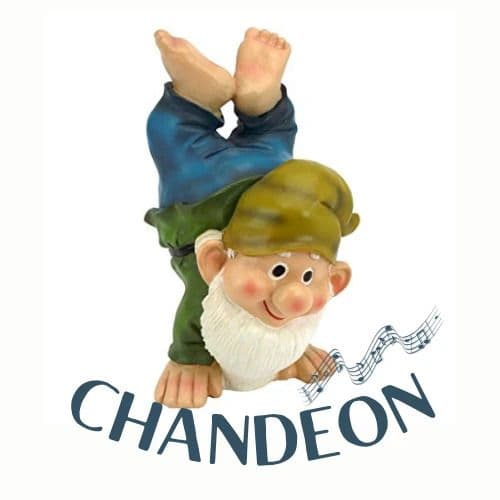 Affiche, Bal Folk Chandeon Fête ses 20 ans