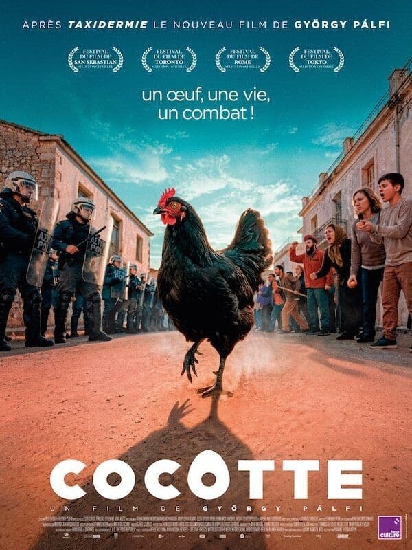 Affiche, đđsoirĂ©e Grecque â
Cocotte âą Presentation + Repas Musical