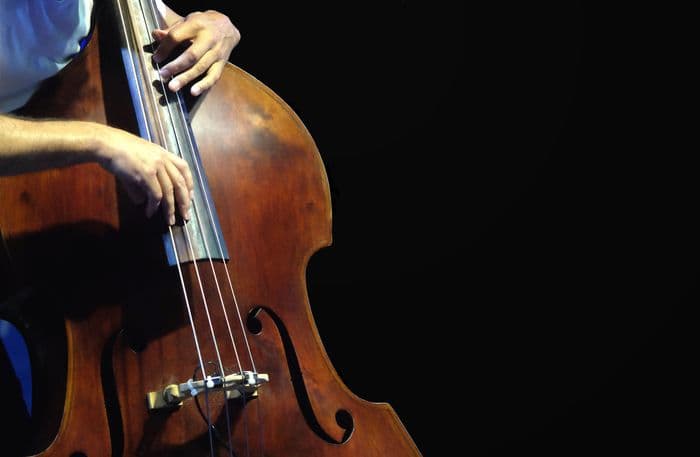 Affiche, Concert : “E il viaggio continua”