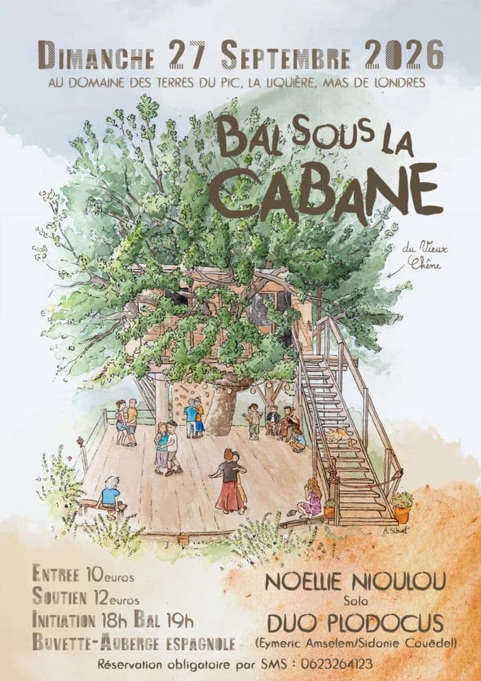 Affiche, Bal sous la cabane - Noëllie Nioulou & Duoplodocus