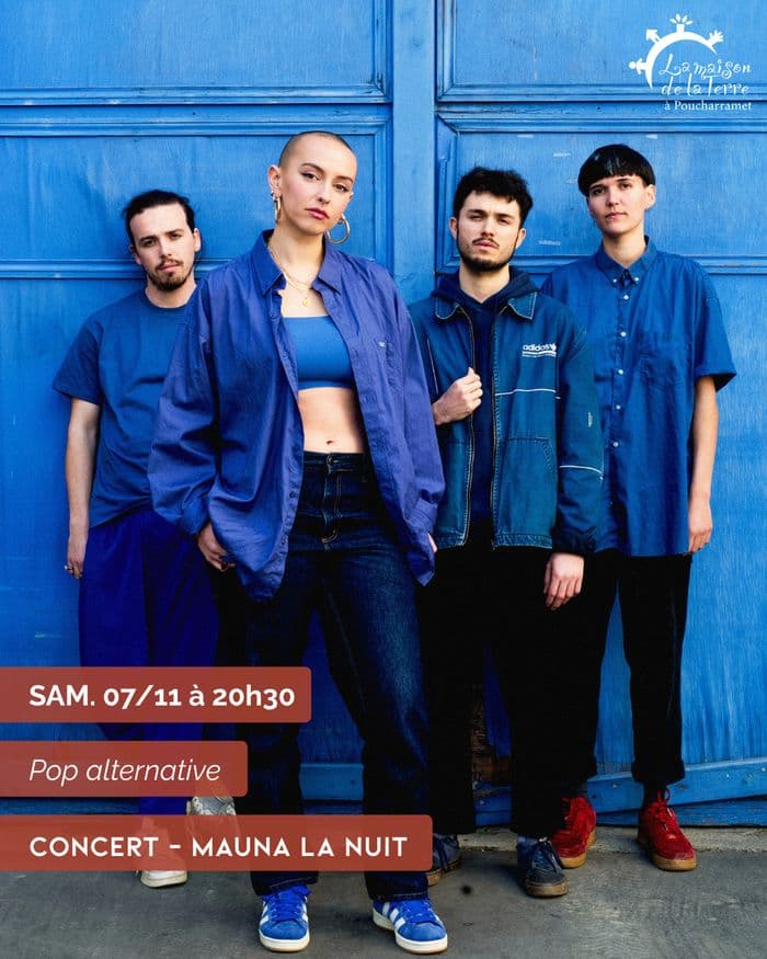 Affiche, Concert Mauna la Nuit