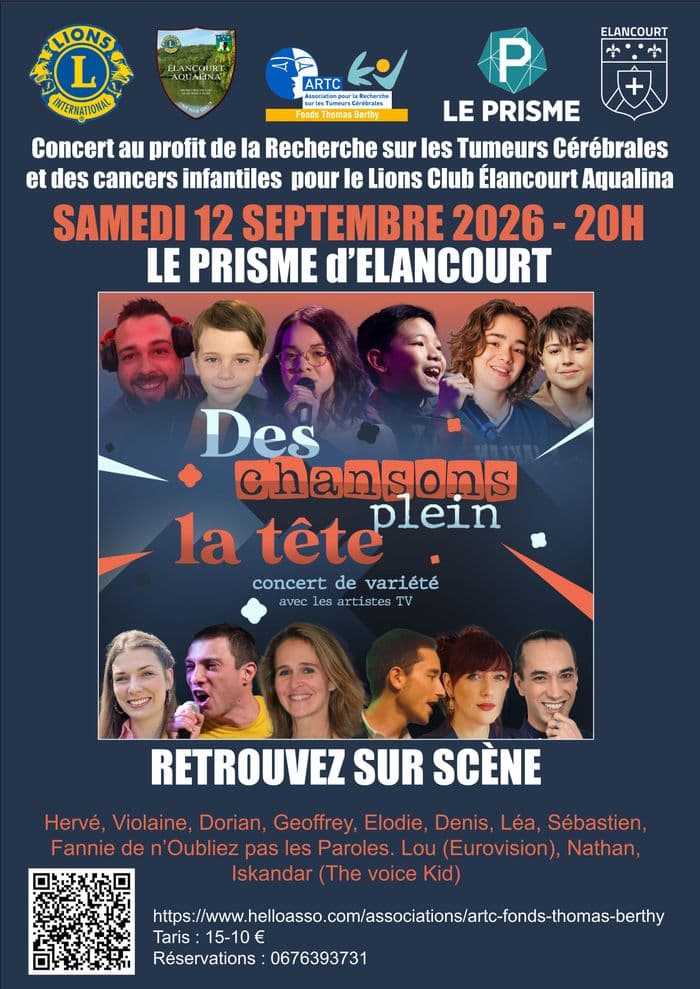Affiche, Des Chansons Plein la Tete