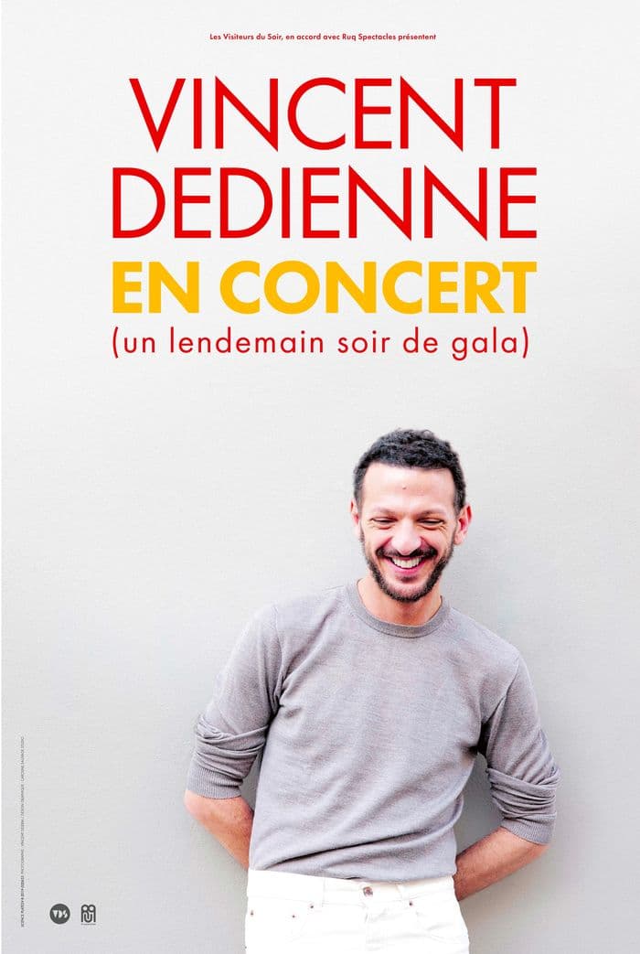 Affiche, Vincent Dedienne en concert