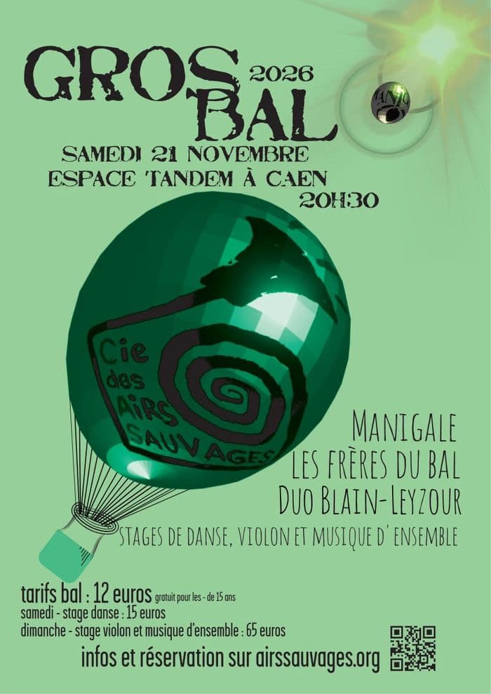 Affiche, Le Gros Bal