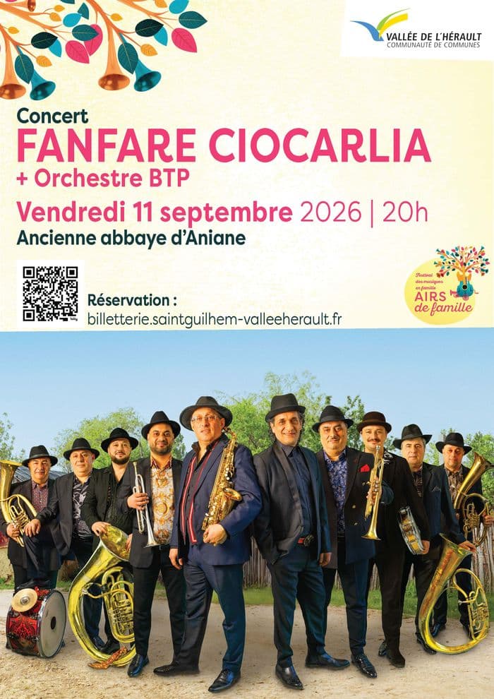 Affiche, Fanfare Ciocarlia & Orchestre BTP