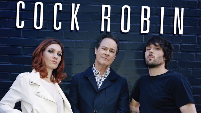 Affiche, COCK ROBIN - [85-89] - Cock ROBIN