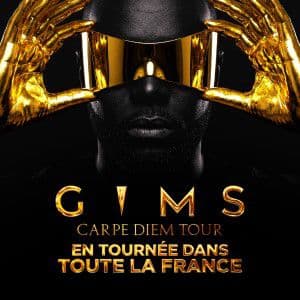 Affiche, GIMS