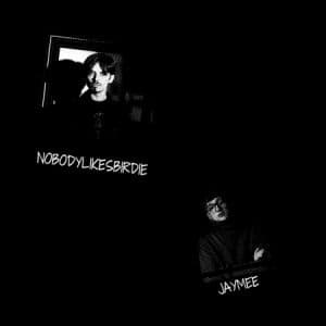 Affiche, Nobodylikesbirdie / Jaymee