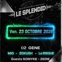 Affiche, MIG - Zokush - Le Risque