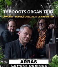 Affiche, The Roots Organ Trio