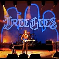 Affiche, Tree Gees - Tribute Bee Gees