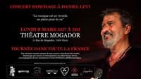 Affiche, Concert Hommage Daniel Levi