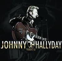 Affiche, Tribute to Johnny Hallyday