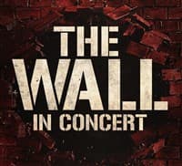 Affiche, Concert hommage à Pink Floyd : The Wall