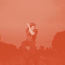 Affiche, Warhaus