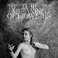 Affiche, Agnes Obel - Tournée