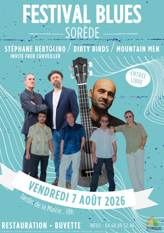 Affiche, Festival Blues