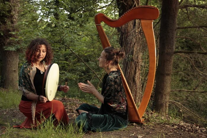 Affiche, Concert sur le site archéologique de Boutavent