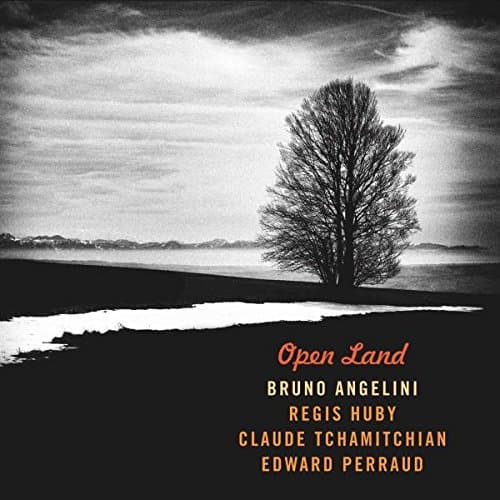 Bruno Angelini, Bruno Angelini - Open Land