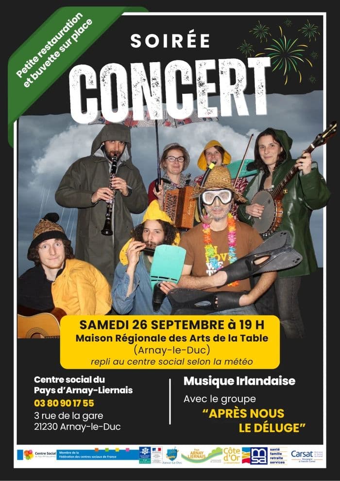 Affiche, Concert Musique Irlandaise