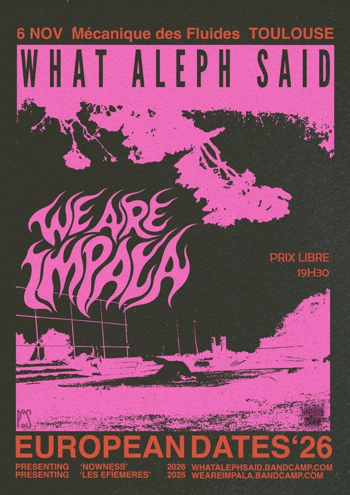 Affiche, What Aleph Said + We Are Impala @ La Mécanique des Fluides, Toulouse