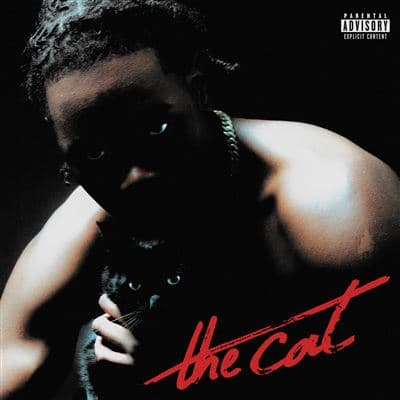 Nono La Grinta, The Cat
