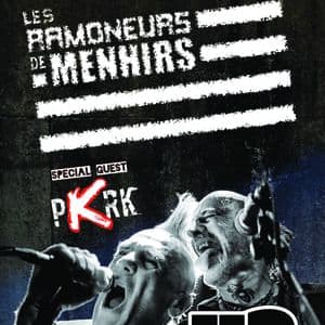Affiche, Les Ramoneurs de Menhirs