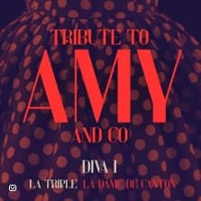 Affiche, Tribute to AMY and Co