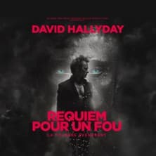 Affiche, David Hallyday - Requiem pour un Fou - Tournée