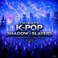 Affiche, K-Pop Shadow Slayers - Tournée
